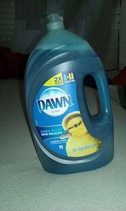 Dawn