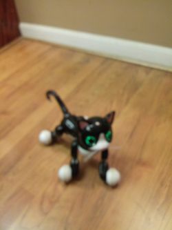 ZOOM ROBOTIC KITTY