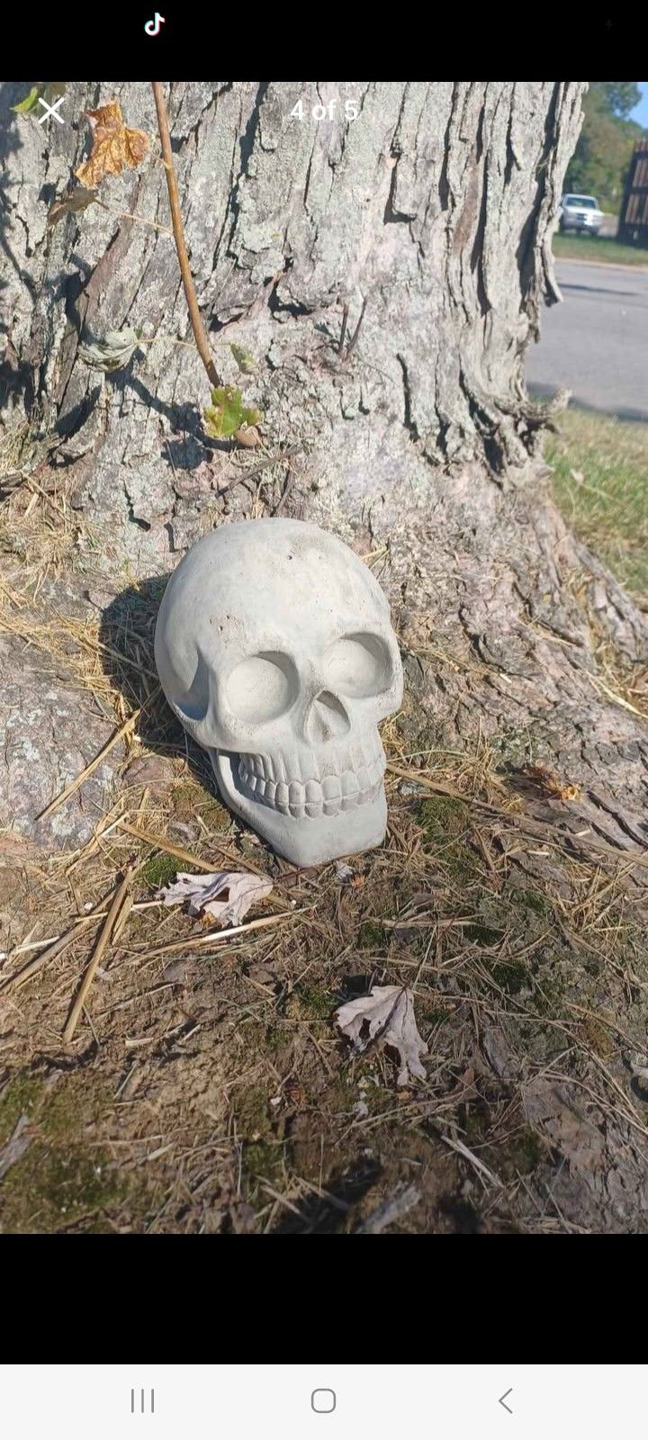 Handmade Human Size(adult) Concrete Skull