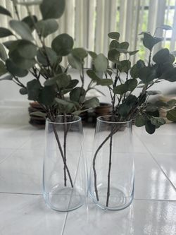 2 Glass Vases 
