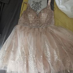 ROSE GOLD COCKTAIL DRESS Size Xl