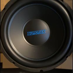 12 Inch Subwoofers