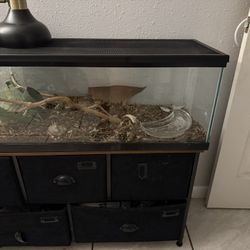 Fish Tank & Reptile Tank