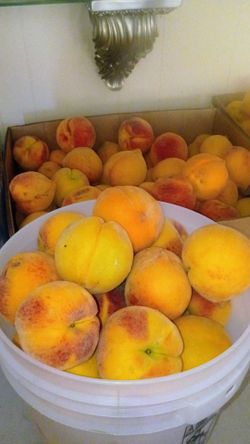 Durazno amarillo