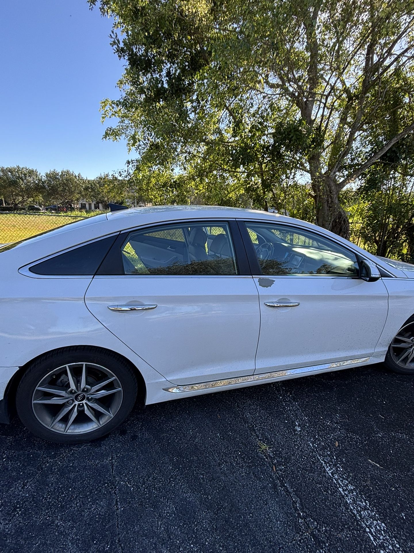 Need Window (T1NT?) Mobile
