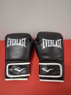 Everlast boxing gloves pickup 2-11 pm rainbow/charleston cash only read description