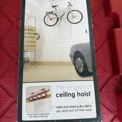 Ceiling hoist 