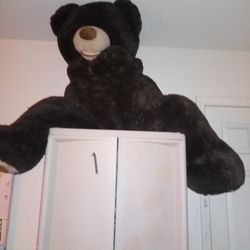 Very Big Teddy Bear