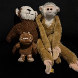 Monkey and dinosaur stuffed Animals