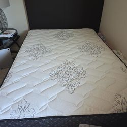 Full Bed Frame With Matress 