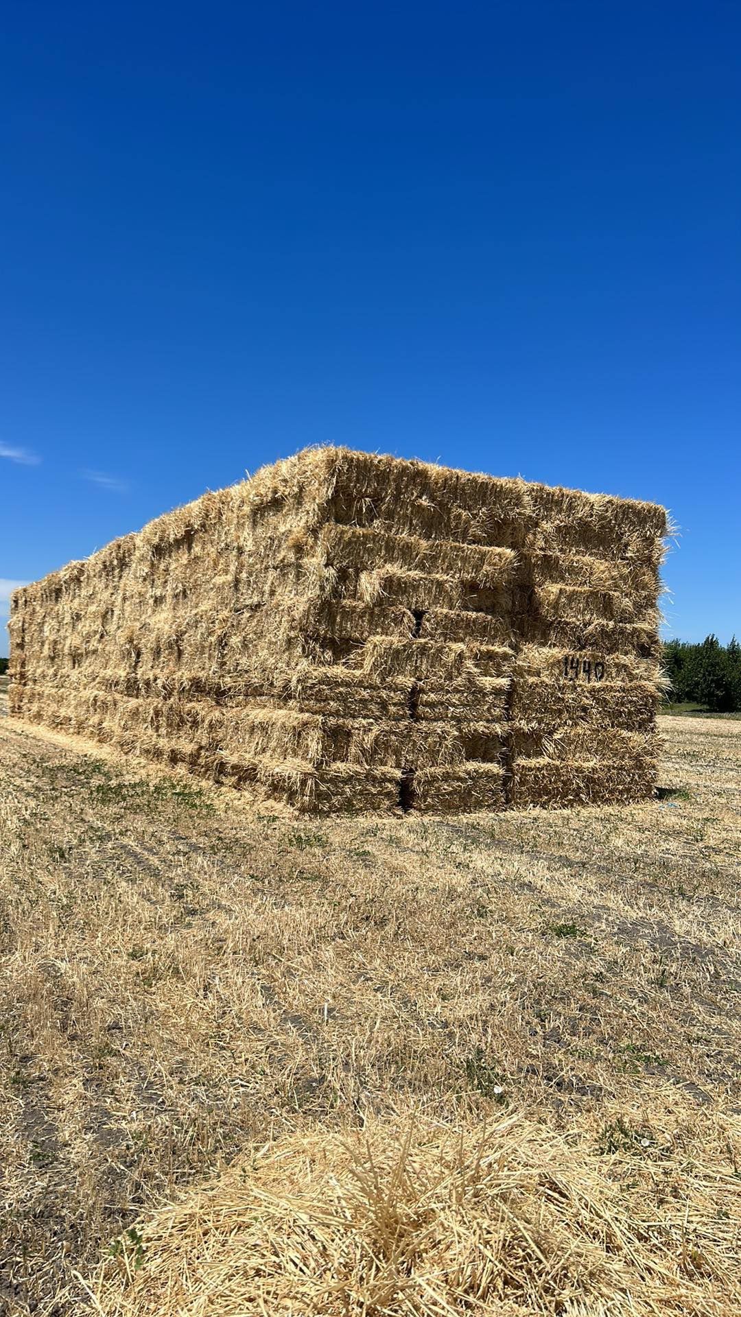 3 Way Grass