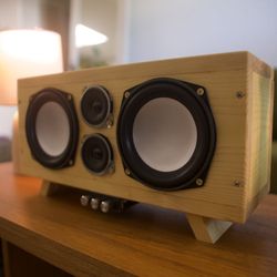 Custom made bluetooth speaker 