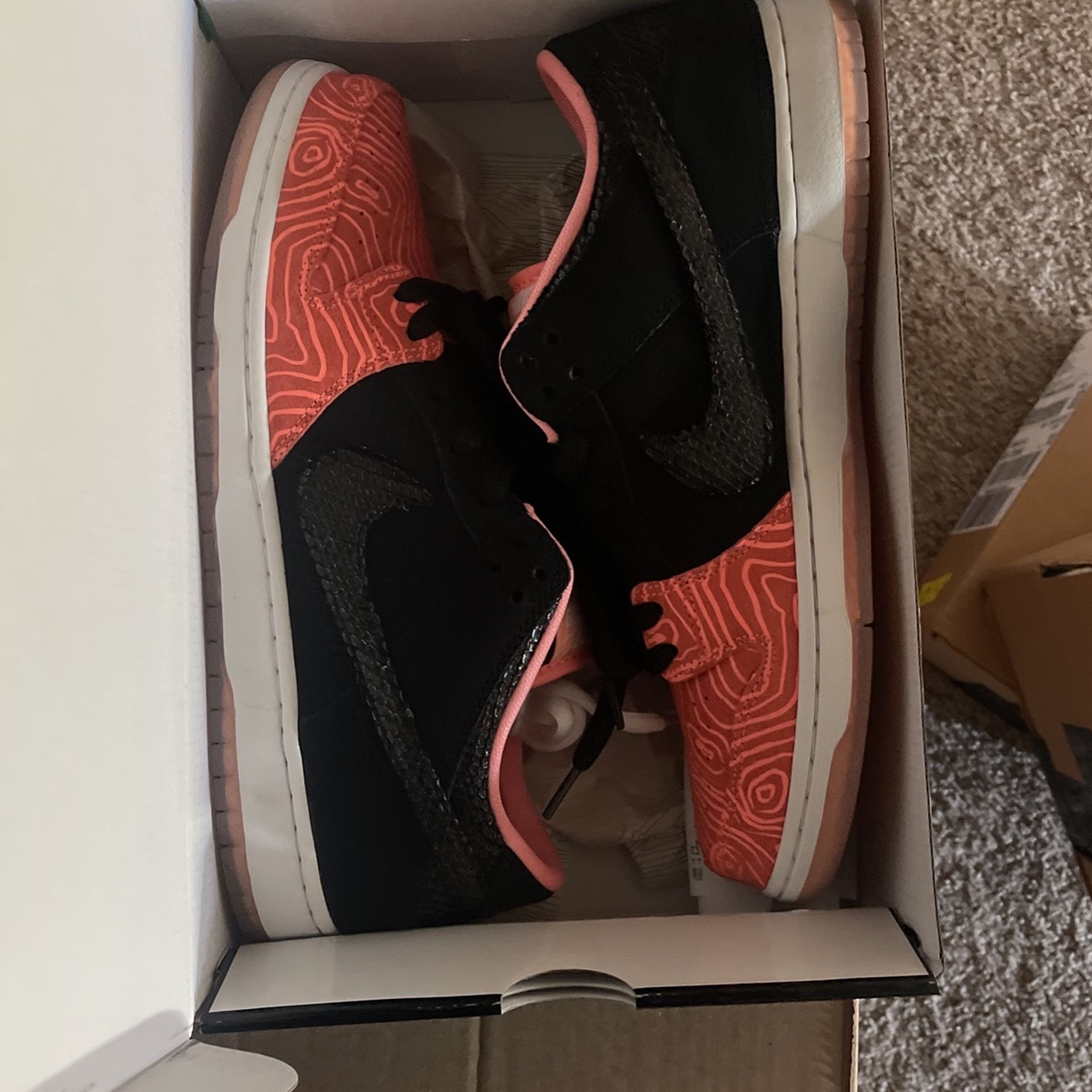 Nike SB Dunk Fish Ladder