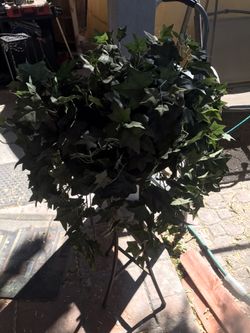 Plastic plant and stand