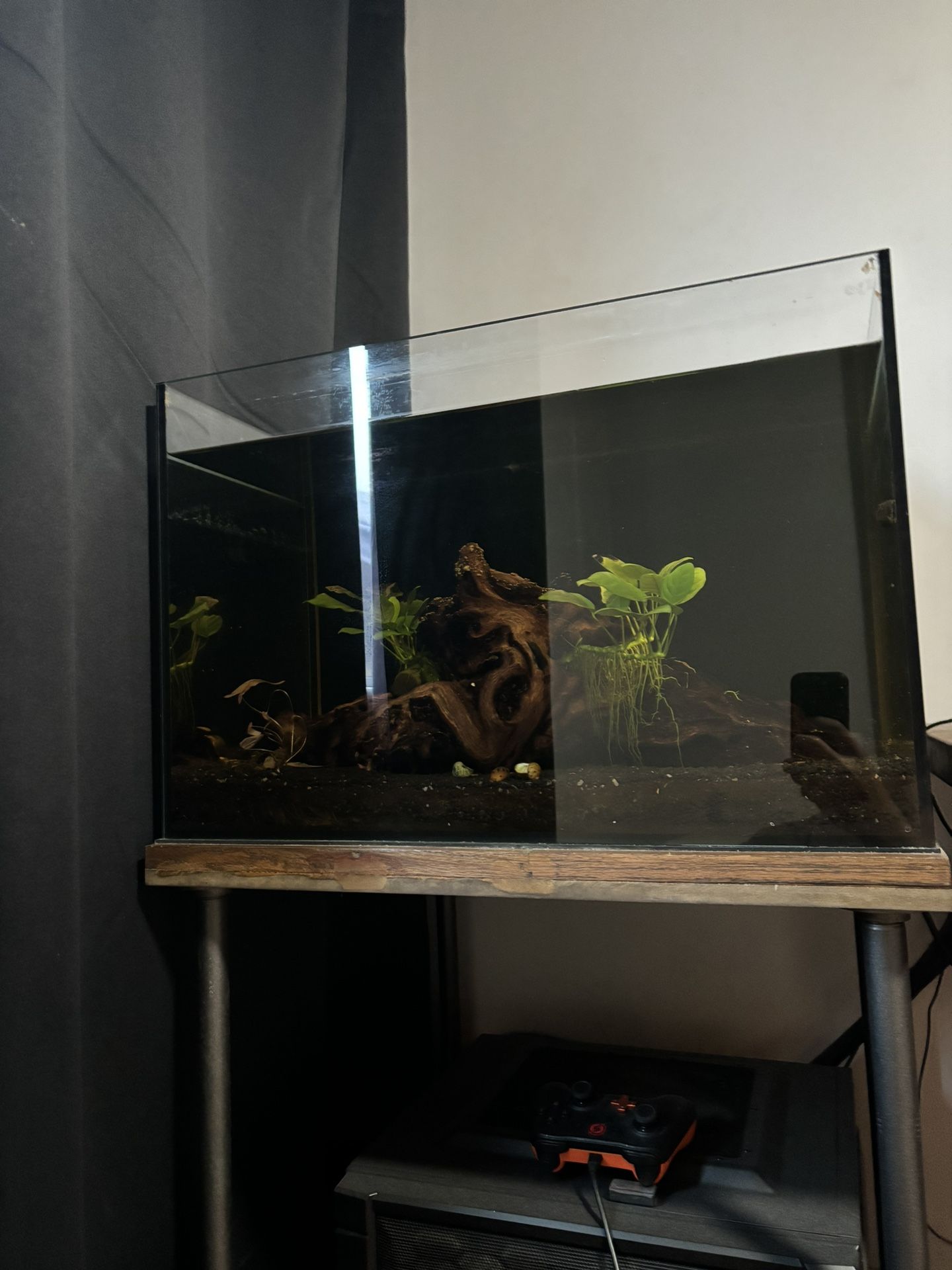 Fish Tank 32 Gallon Rimless