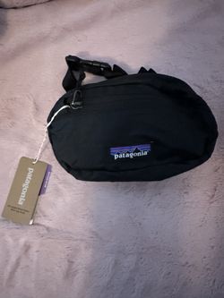 Patagonia Belt Bag Fanny Bag