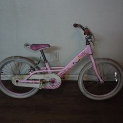 20Inch Kids Trek Bike
