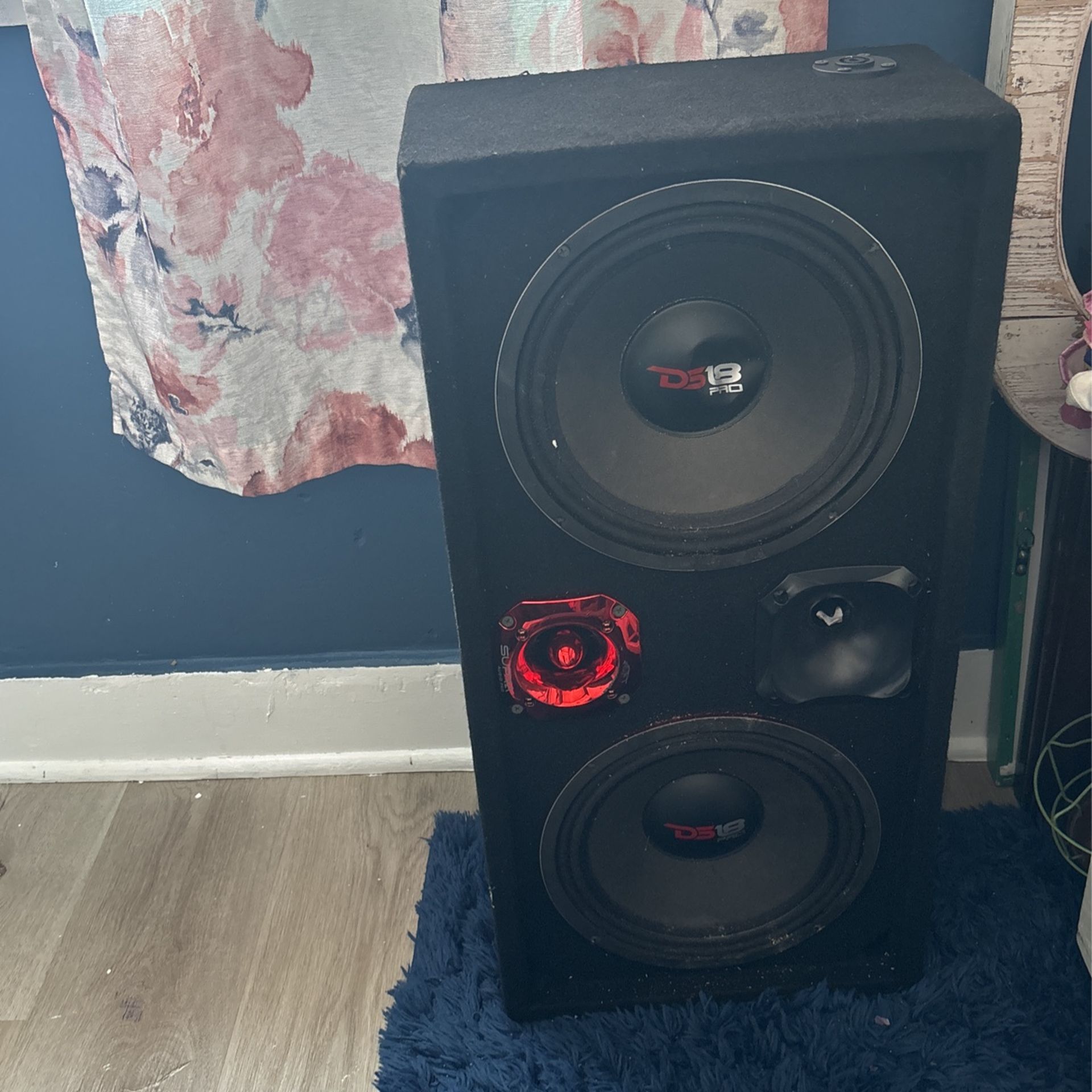 2 Ds18 10in With Two Drivers