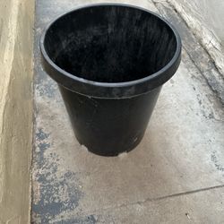 Plant Holder