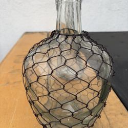 Chicken Wire Jug