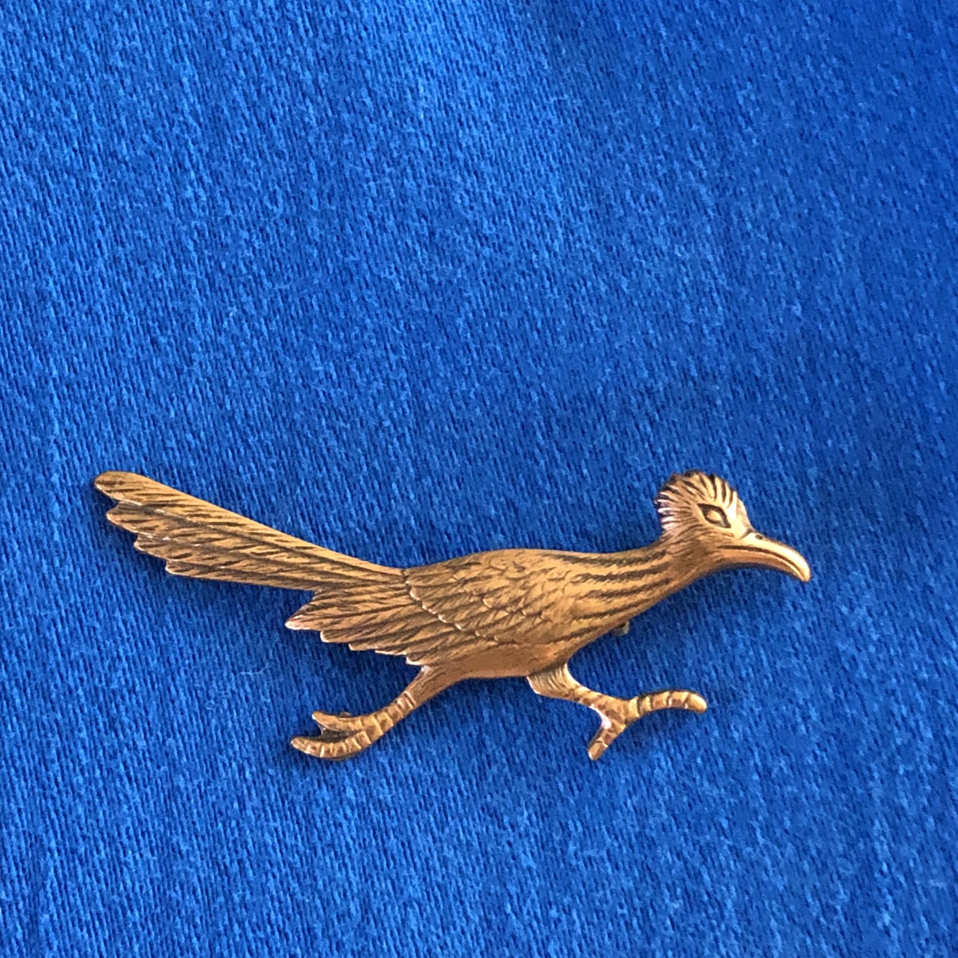 Southwestern Road Runner pin