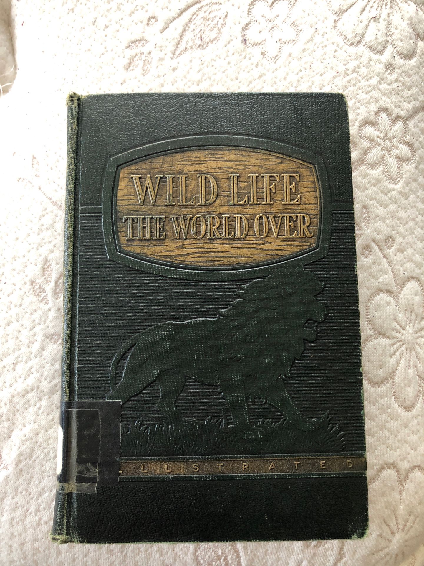 Wild Life the World Over 1947 hardcover