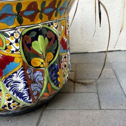 Pot- Decorative Colorful Pot- Planting 