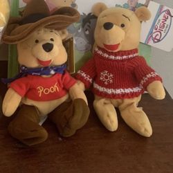 Winnie The Pooh Beanie From Disney Store
