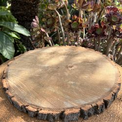 Big Rustic Wood Slices/ Thick Wood Slices For Cakes/Cake Stands(Different Prices)