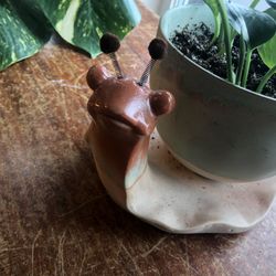 2 Piece Ceramic Planter And Pothos Plant 