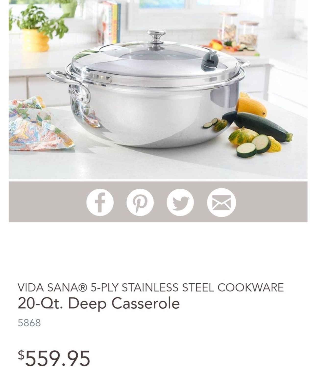 Princess house vida sana 20 qt cacerola 
