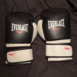 Everlast Boxing Gloves 