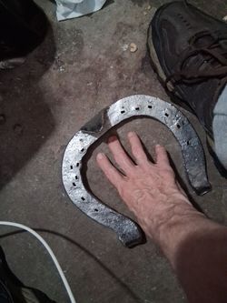 Chrome plate d Clydesdale horseshoe