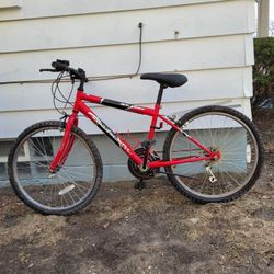 24"  ROADMASTER  MT FURY 