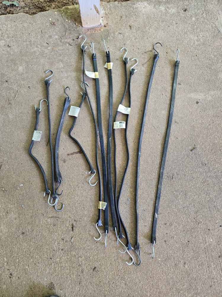 Bungee Cords