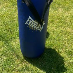 Everlast Heavy Bag