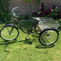 Adult Tricycle Trike