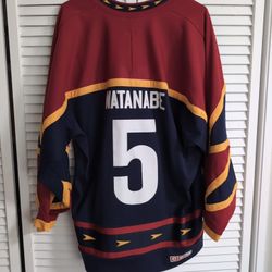 Vintage 90's Mighty Ducks Parady CCM Adult Large Jersey Avalanche Colors