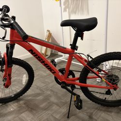 brand new NISHIKI mountain bike 20’’ boys 