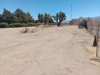 Trabajo de tractor 🚜