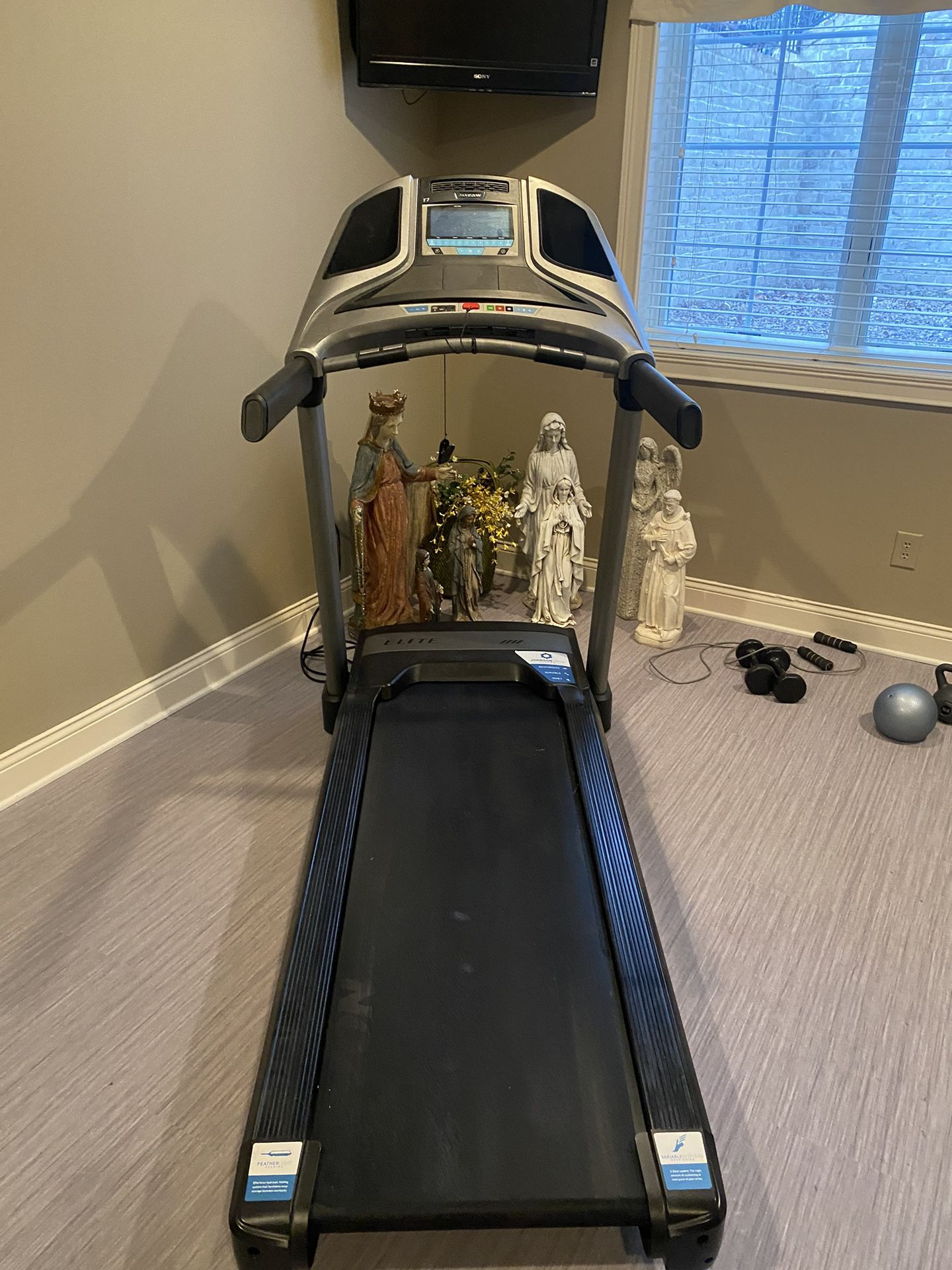 Elite Horizon Treadmill