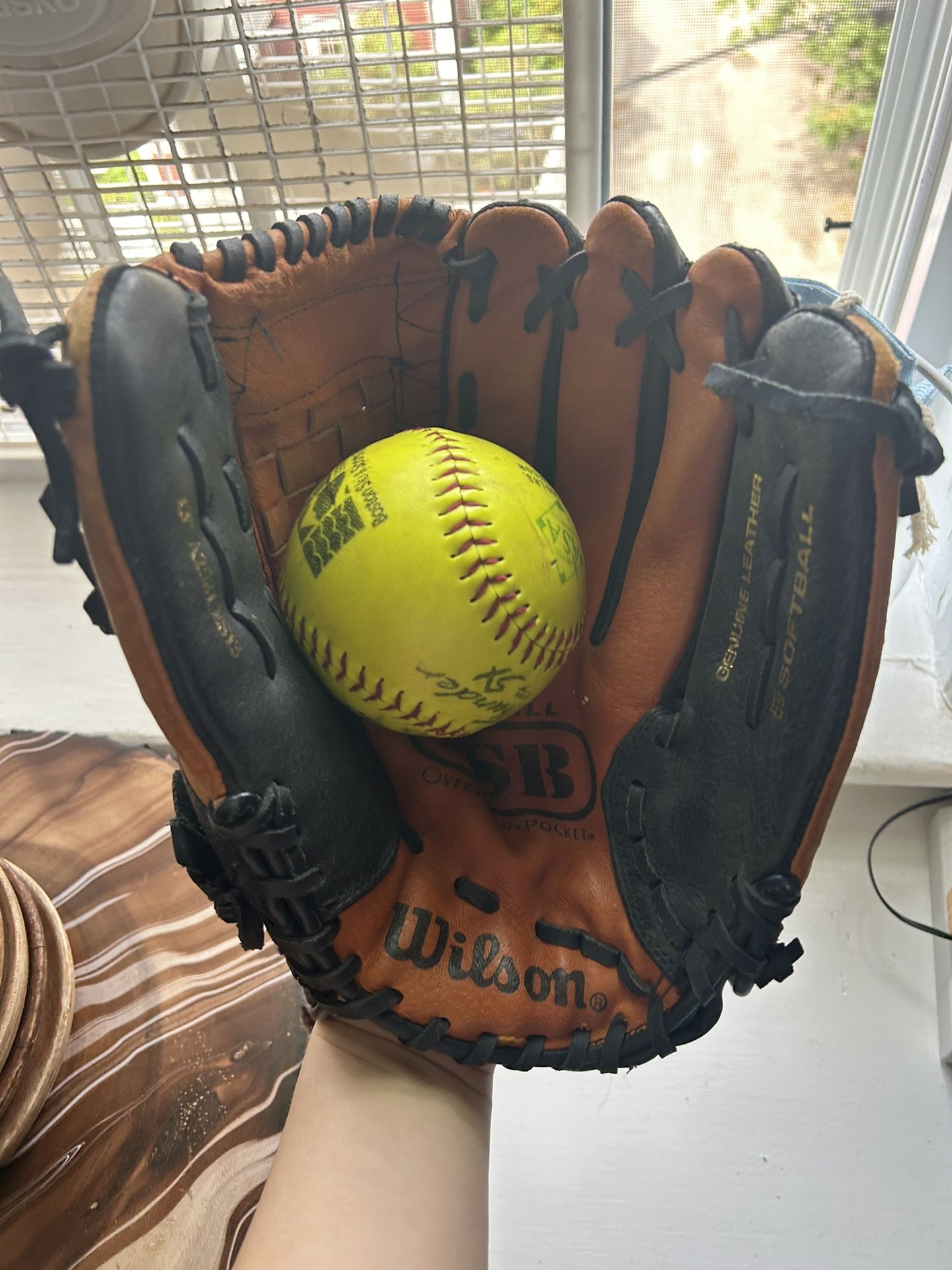 Softball mitt