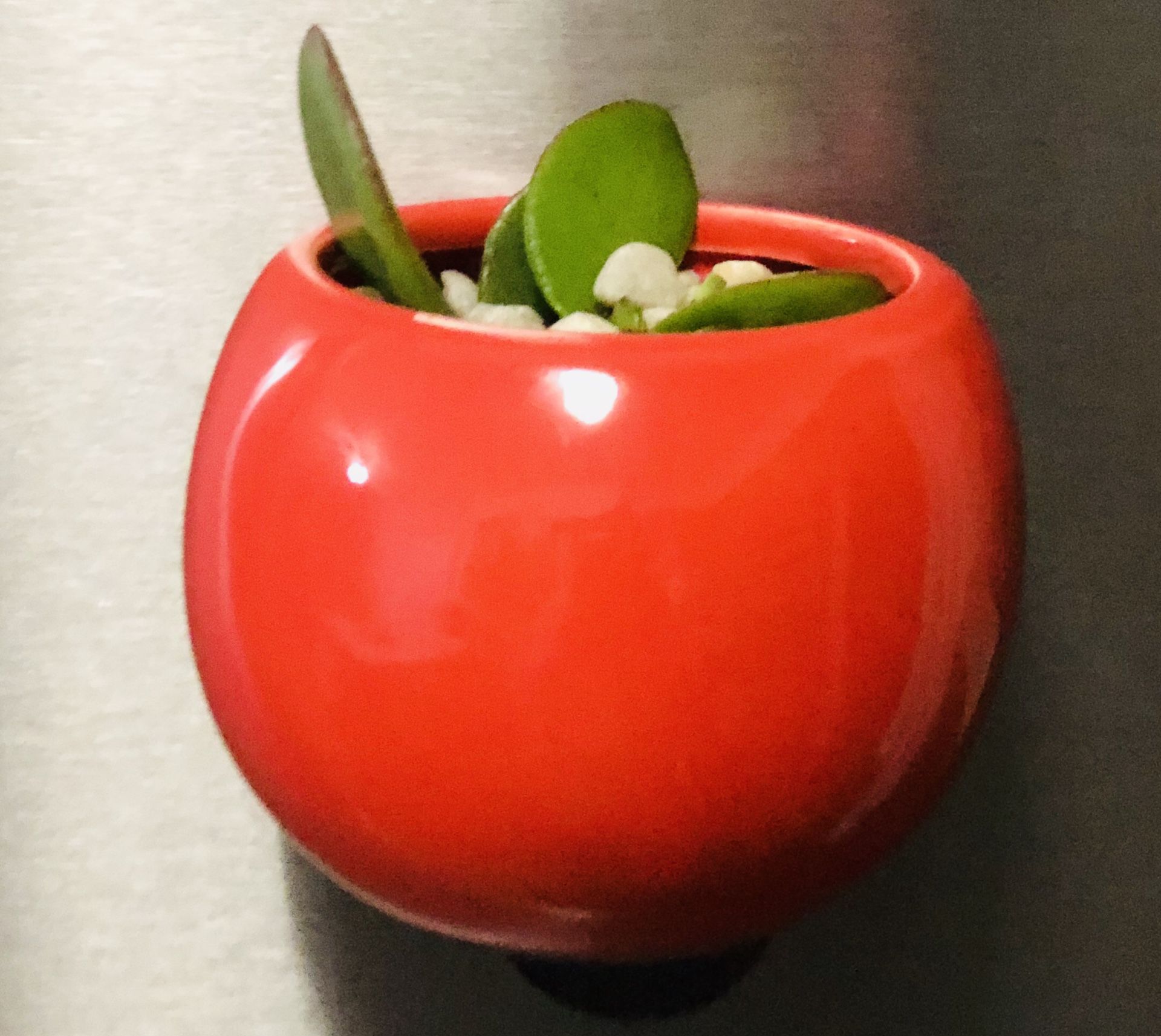 Jade with magnetic pot