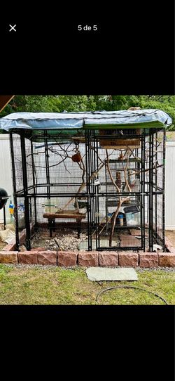 X LG bird cage