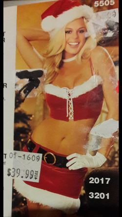 Women's Santa costume