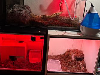 Bp enclosure.