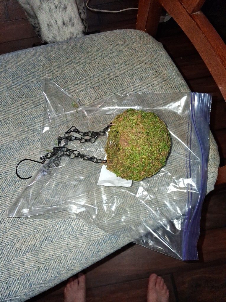 BYHER MOSSY CAVE WITH CHAIN