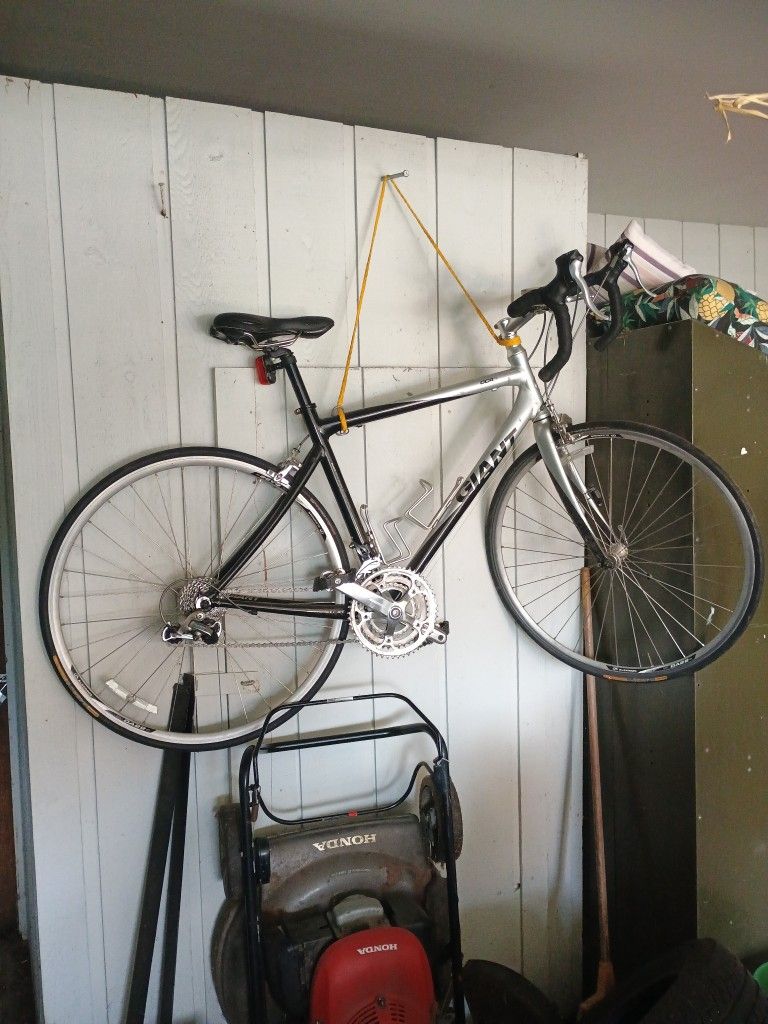Giant OCR3