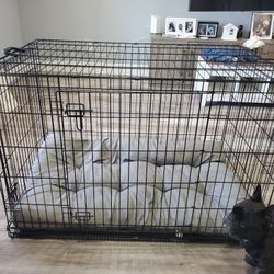 Large Dog Crate