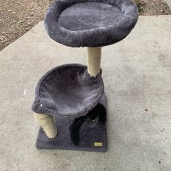 Purple Cat Tree